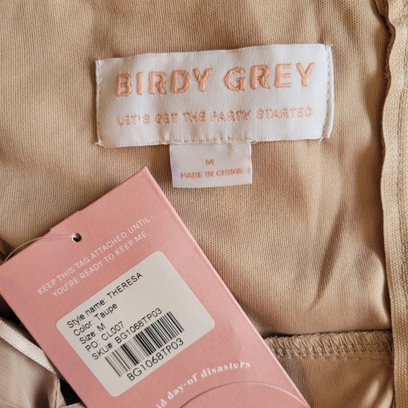NWT Birdy Grey Theresa Creamy Beige Long Chiffon Gown Size Medium - Picture 8 of 8
